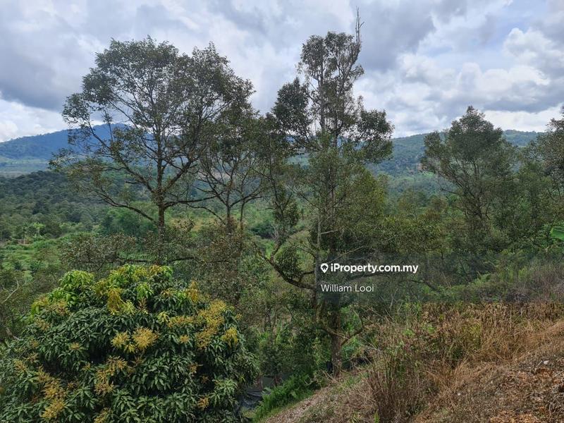 Agricultural Land for Sale in Kampung Tras, Raub by William Looi - iProperty.com.my