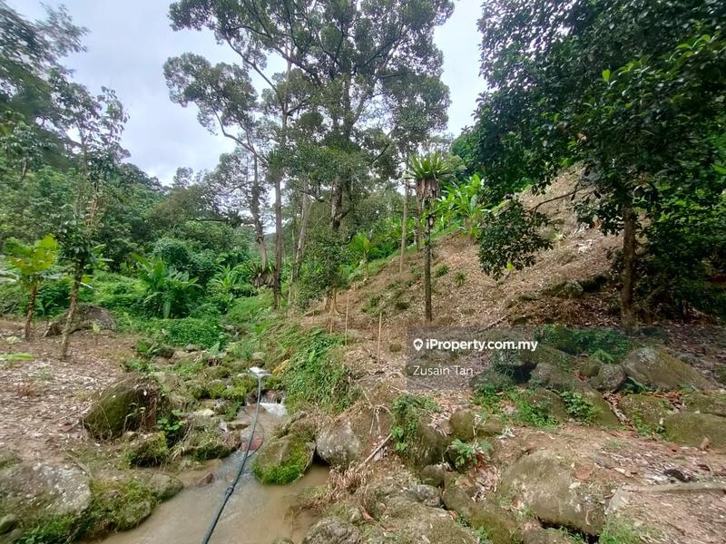 Agricultural Land for Sale in Kampung Titi Serong, Balik Pulau by Zusain Tan - iProperty.com.my