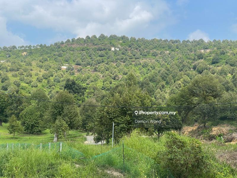 Tanah Pertanian untuk Dijual di Karak, Bentong oleh Damon Wong - iProperty.com.my