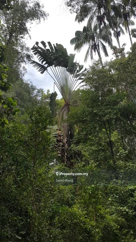 Tanah Komersial untuk Dijual di Kuala Rombin, Rompin oleh Santo Wang - iProperty.com.my