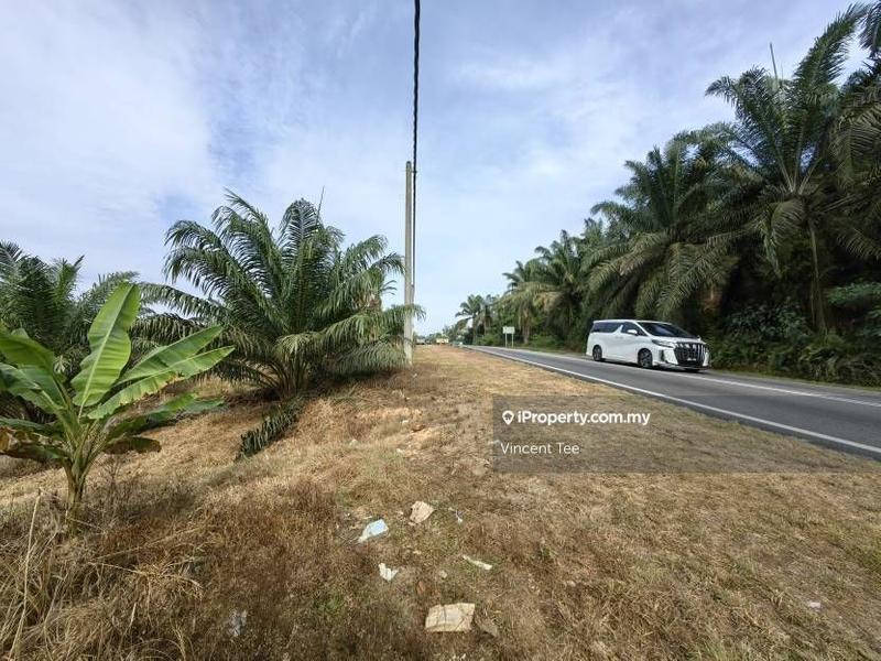 Agricultural Land for Sale in Bandar Mengkuang, Triang by Vincent Tee - iProperty.com.my