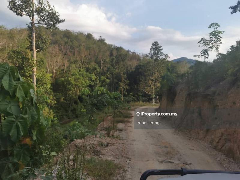 Agricultural Land for Sale in Karak, Karak by Irene Leong - iProperty.com.my