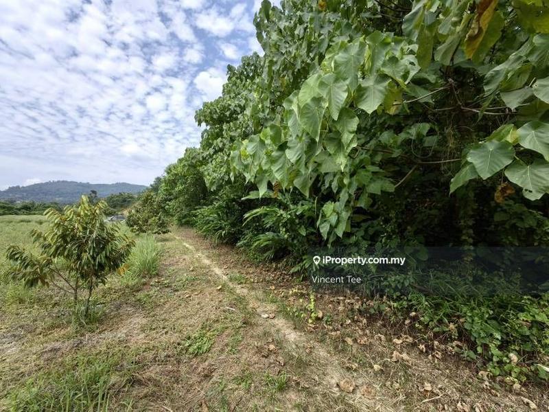 Tanah Pertanian untuk Dijual di Kampung Sungai Lalang, Semenyih oleh Vincent Tee - iProperty.com.my