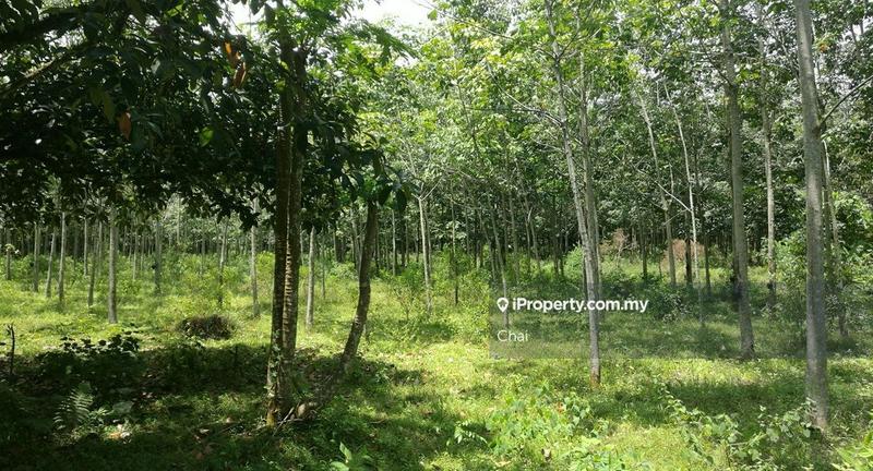 Tanah Perindustrian untuk Dijual di Taman Harmoni, Ijok oleh Chai - iProperty.com.my