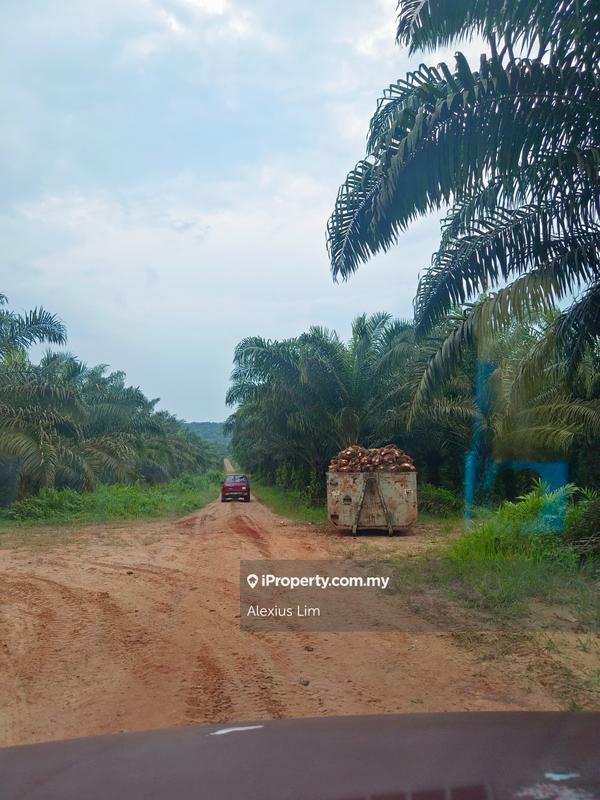 Agricultural Land for Sale in Mukim Paloh, Kluang by Alexius Lim - iProperty.com.my