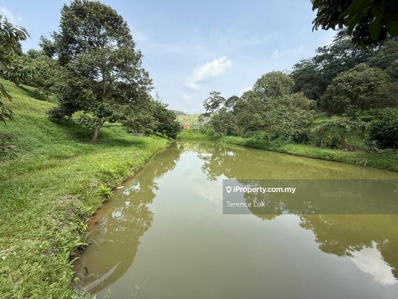 Tanah Pertanian untuk Dijual di Hosapa, Titi oleh Terence Lok - iProperty.com.my