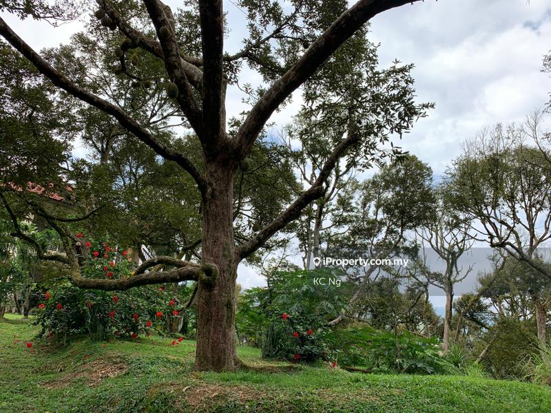 Agricultural Land for Sale in Raub, Raub by KC Ng - iProperty.com.my