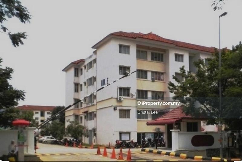 For Sale - Sri Begonia