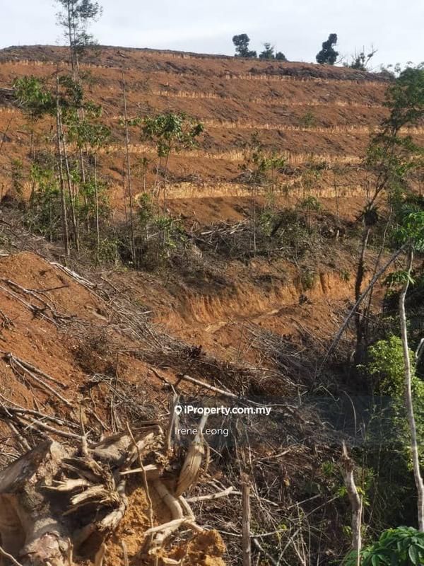 Agricultural Land for Sale in Karak, Pahang by Irene Leong - iProperty.com.my