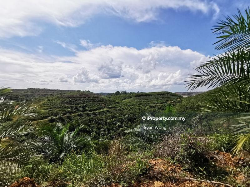 Agricultural Land for Sale in Penjom, Kuala Lipis, Pahang, Kuala Lipis by Bryan Wong - iProperty.com.my