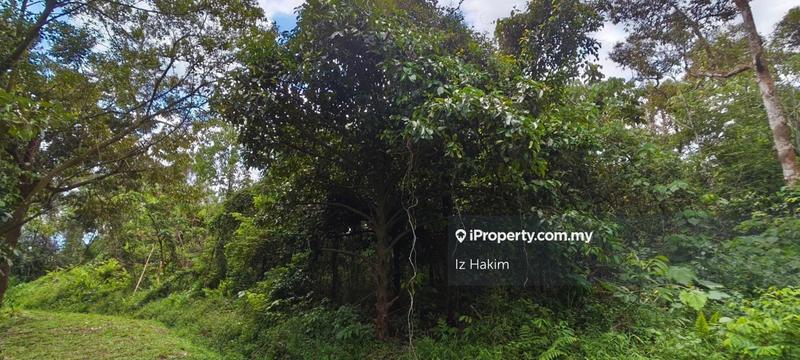Agricultural Land for Sale in Batang Kali, Selangor by Iz Hakim - iProperty.com.my