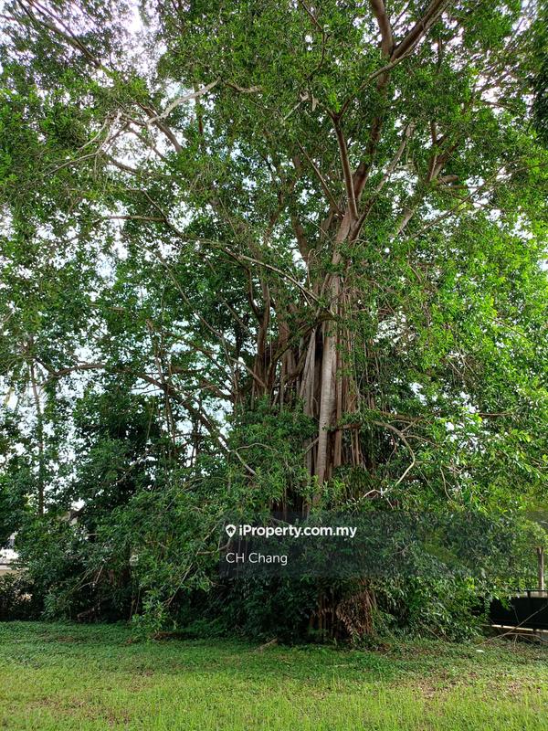 Bungalow House for Sale in Pulau Tikus, George Town by CH Chang - iProperty.com.my