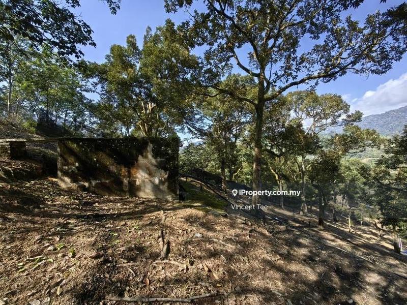 Tanah Pertanian untuk Dijual di Cheroh, Raub oleh Vincent Tee - iProperty.com.my