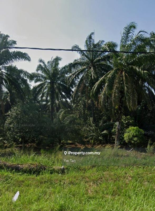 For Sale - Jalan Dengkil Banting, Dengkil, Sepang