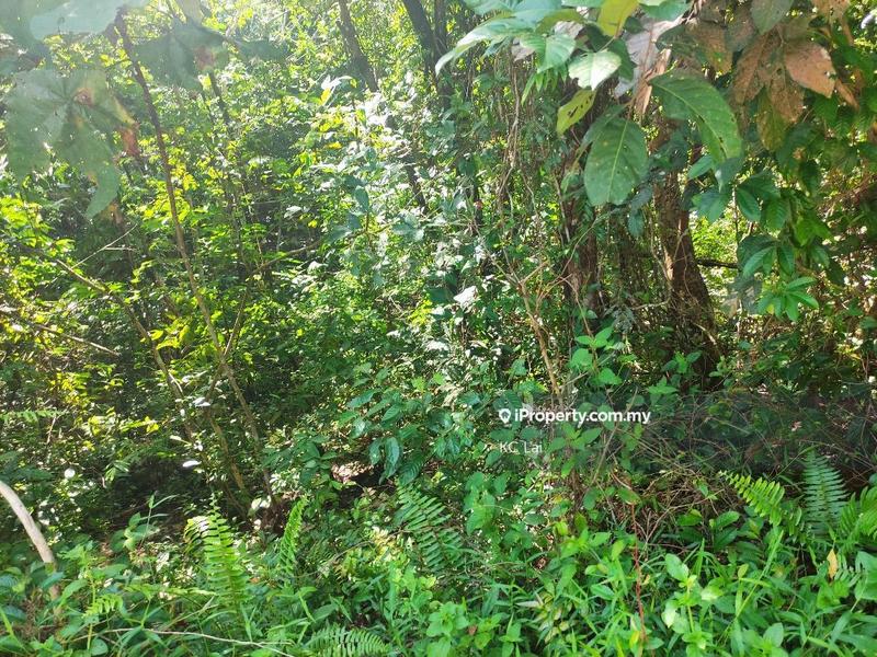 Tanah Pertanian untuk Dijual di Seremban Land 60 acres, Seremban oleh KC Lai - iProperty.com.my