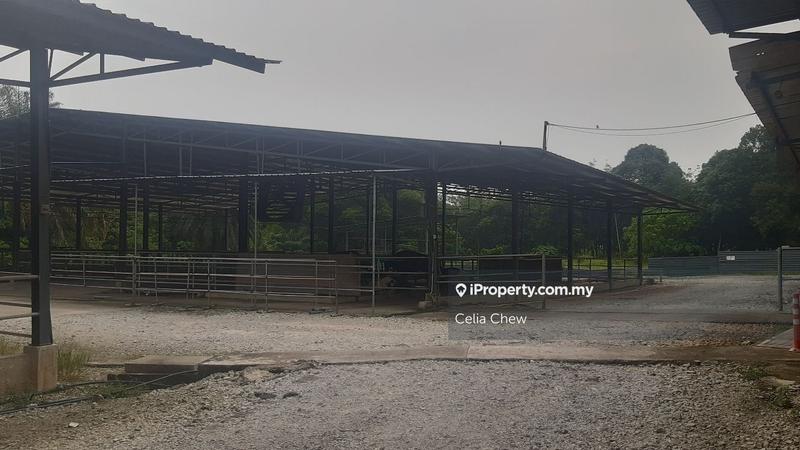 Agricultural Land for Sale in Rumah Burung, Batang Kali by Celia Chew - iProperty.com.my