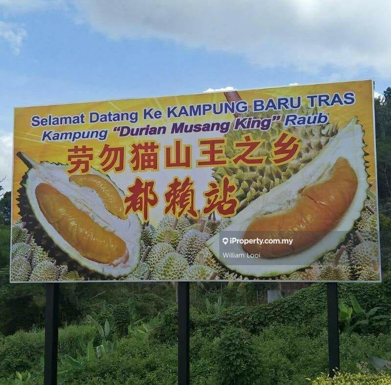 Agricultural Land for Sale in Kampung Tras, Raub by William Looi - iProperty.com.my