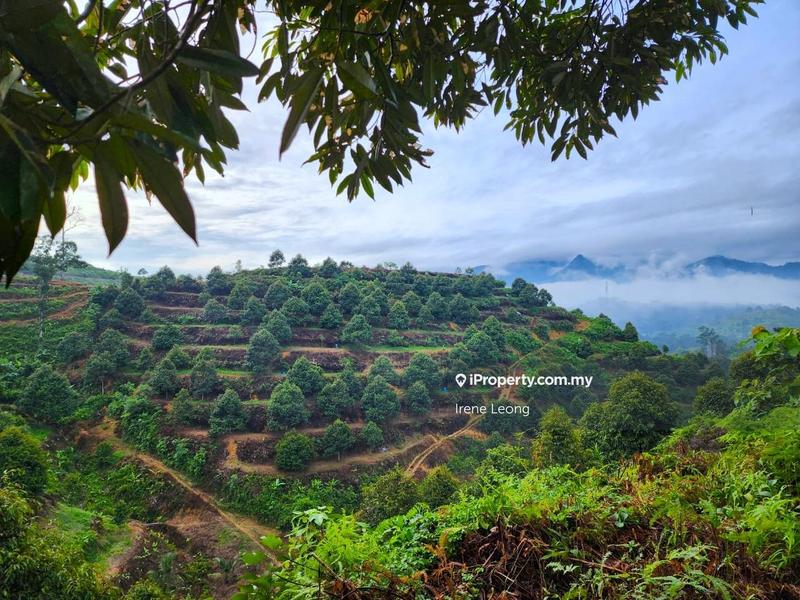 Tanah Pertanian untuk Dijual di Karak, Pahang oleh Irene Leong - iProperty.com.my