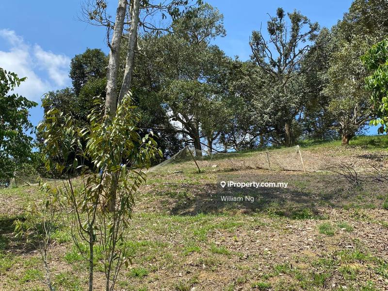 Agricultural Land for Sale in Taman Jelebu, Kuala Klawang by William Ng - iProperty.com.my