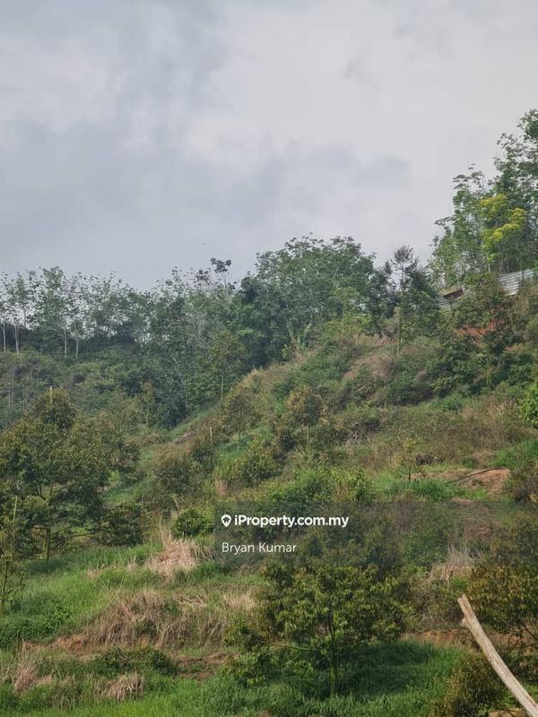 Tanah Pertanian untuk Dijual di Raub, Teras oleh Bryan Kumar - iProperty.com.my