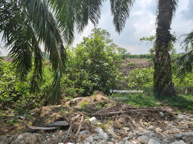 Tanah Pertanian untuk Dijual di Banting, Banting oleh Robin Chum - iProperty.com.my