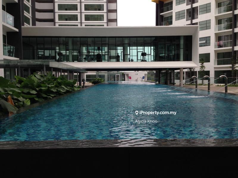 For Sale - Zeva @ Equine South