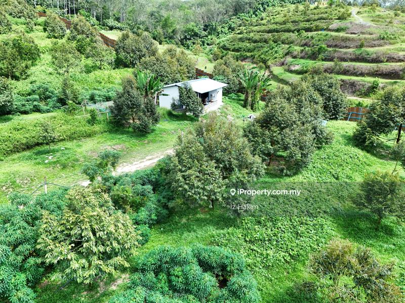 Tanah Pertanian untuk Dijual di Kerling, Selangor oleh Iz Hakim - iProperty.com.my