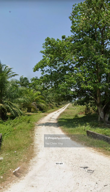 For Sale - 【1st Piece Facing Road】2.51 Acres Agriculture Land @ Bukit Rotan Kampung Api Api, Kuala Selangor