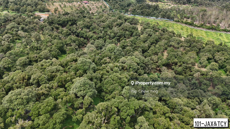 Tanah Pertanian untuk Dijual di Bandar Tras, Raub oleh Yap Chew Ying - iProperty.com.my