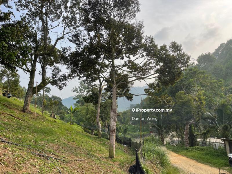 Tanah Pertanian untuk Dijual di Sungai Chetang, Raub oleh Damon Wong - iProperty.com.my