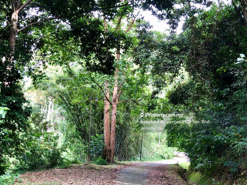 Residential Land for Sale in Janda Baik, Bentong by Jennifer Yap - "Trees give peace the souls of men." ... Nora Wain - iProperty.com.my