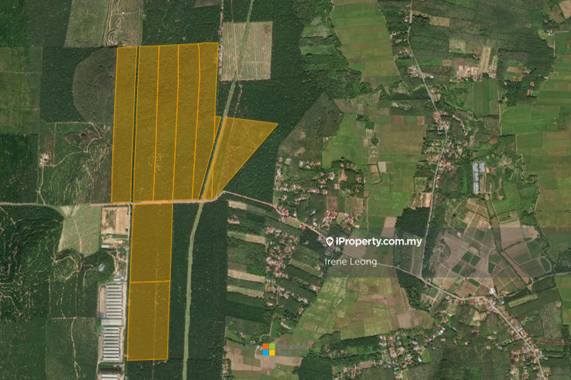 For Sale - 279 acres Kedah Agri Land For Sale