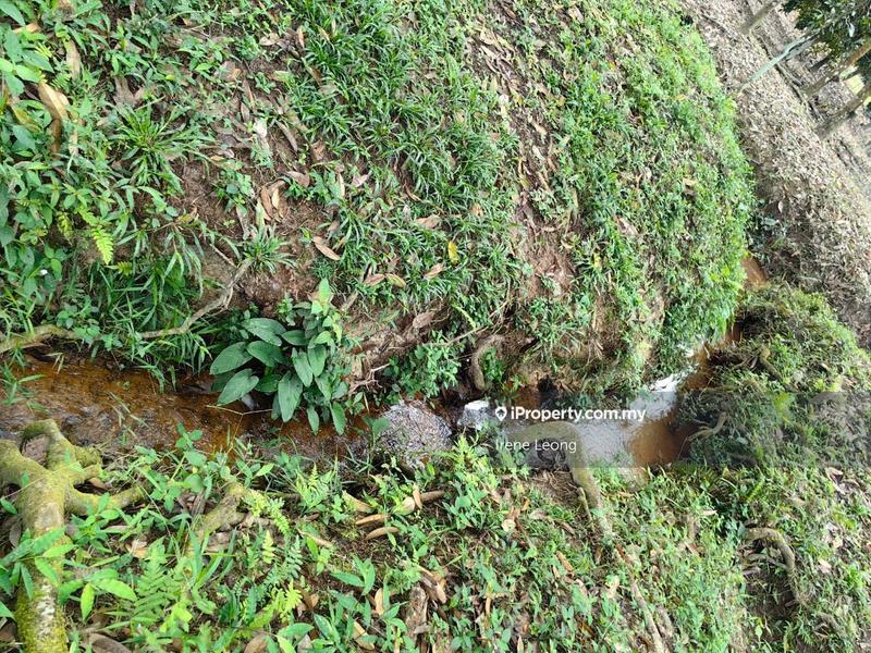 Agricultural Land for Sale in Karak, Pahang by Irene Leong - iProperty.com.my