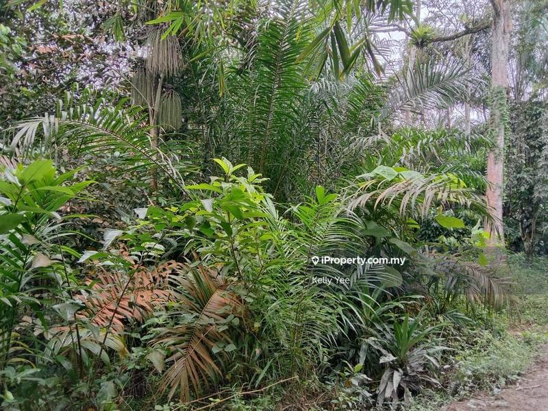 Agricultural Land for Sale in Sungai Lembu, Bukit Mertajam by Kelly Yee - iProperty.com.my