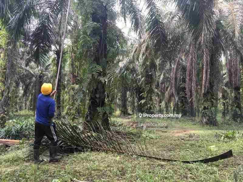 For Sale - Freehold Land 3.8 Acres, Paya Rumput Krubong Cheng