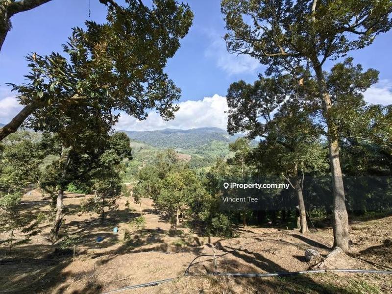 Tanah Pertanian untuk Dijual di Cheroh, Raub oleh Vincent Tee - iProperty.com.my