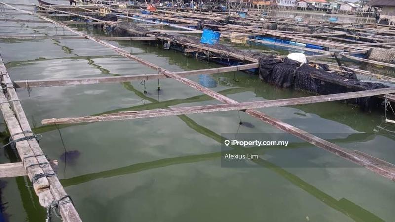 Agricultural Land for Sale in Kukup, Pontian by Alexius Lim - iProperty.com.my