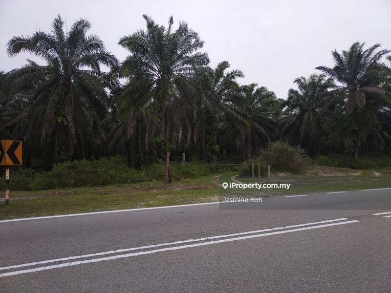 Tanah Pertanian untuk Dijual di Kemaman, Terengganu oleh Jasmine Koh - iProperty.com.my