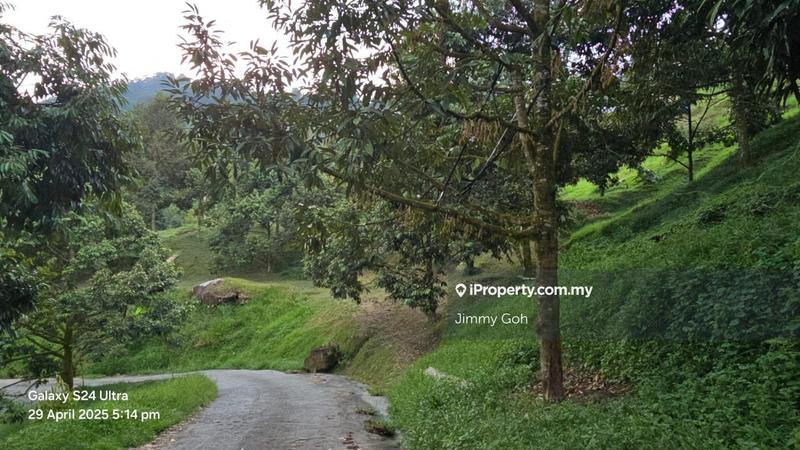 Tanah Pertanian untuk Dijual di Kampung Sungai Tekali, Hulu Langat oleh Jimmy Goh - iProperty.com.my