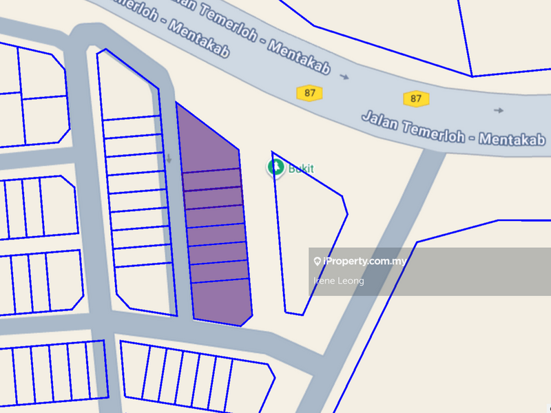 Tanah Komersial untuk Dijual di Mentakab, Pahang oleh Irene Leong - iProperty.com.my