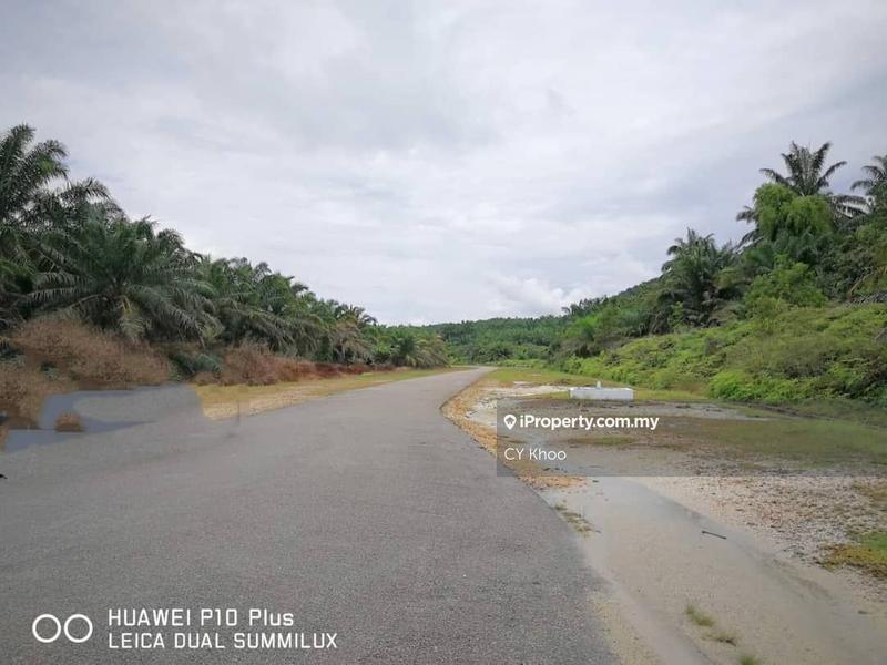 For Sale - Johor Mersing 288 acres Palm oil Land for SALE ( freehold)