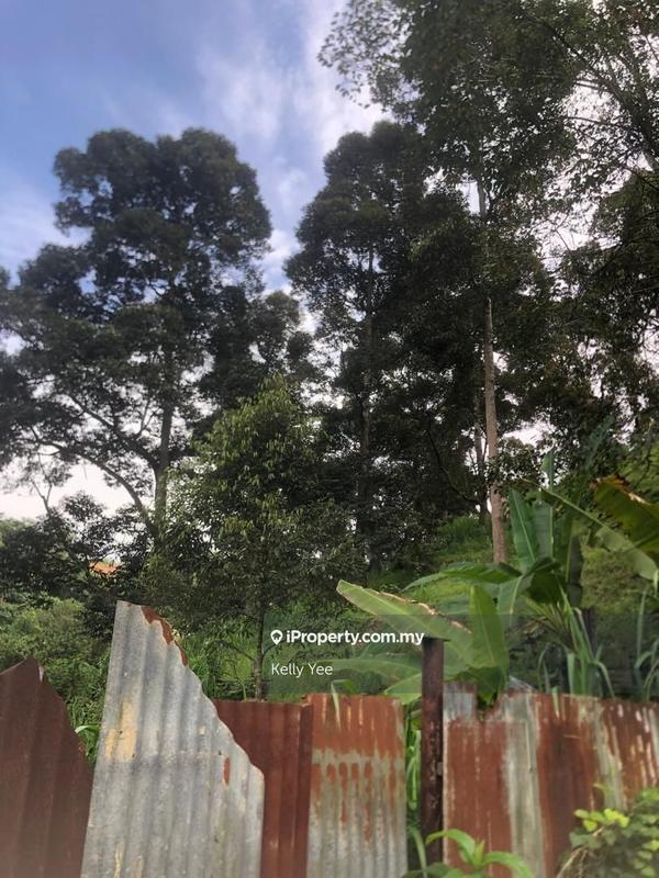 Agricultural Land for Sale in Nibong Tebal, Penang by Kelly Yee - iProperty.com.my
