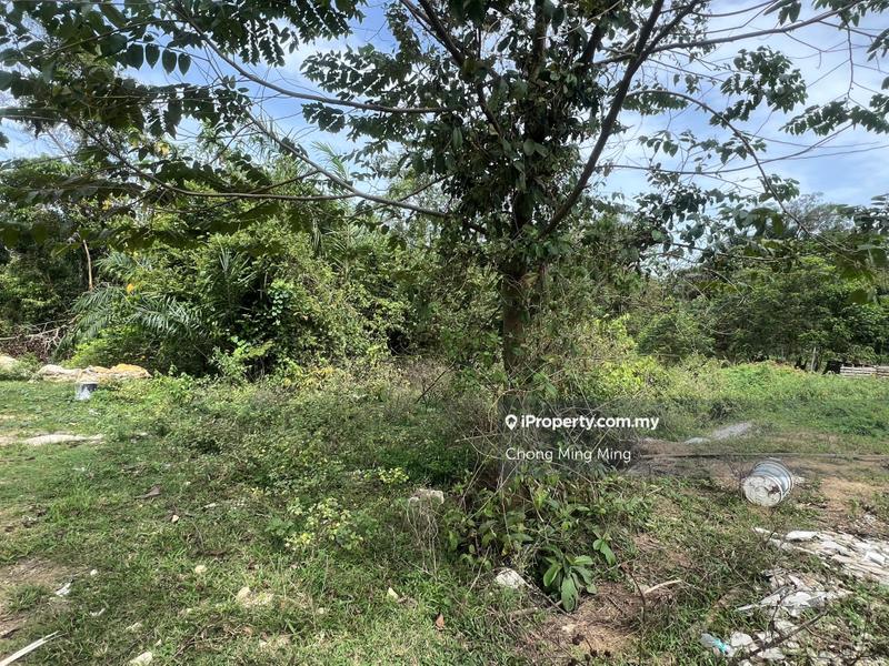 Agricultural Land for Sale in Pajam, Mantin by Chong Ming Ming - iProperty.com.my