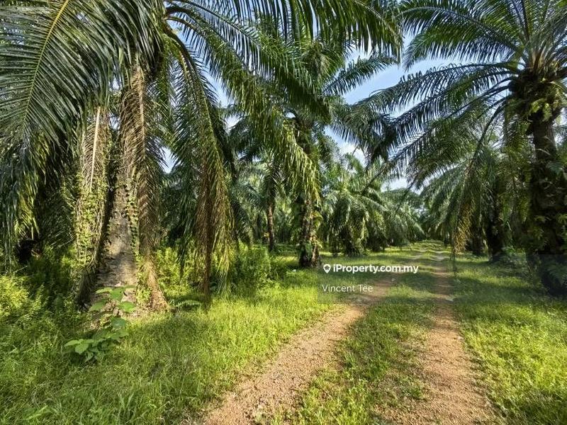 For Sale - 8 Acres Freehold Agriculture Land Jeram Kuala Selangor