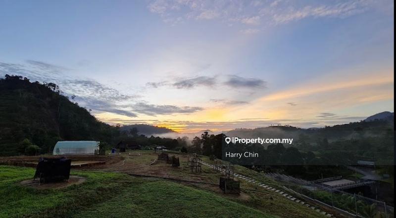 Agricultural Land for Sale in Bentong, Pahang by Harry Chin - iProperty.com.my