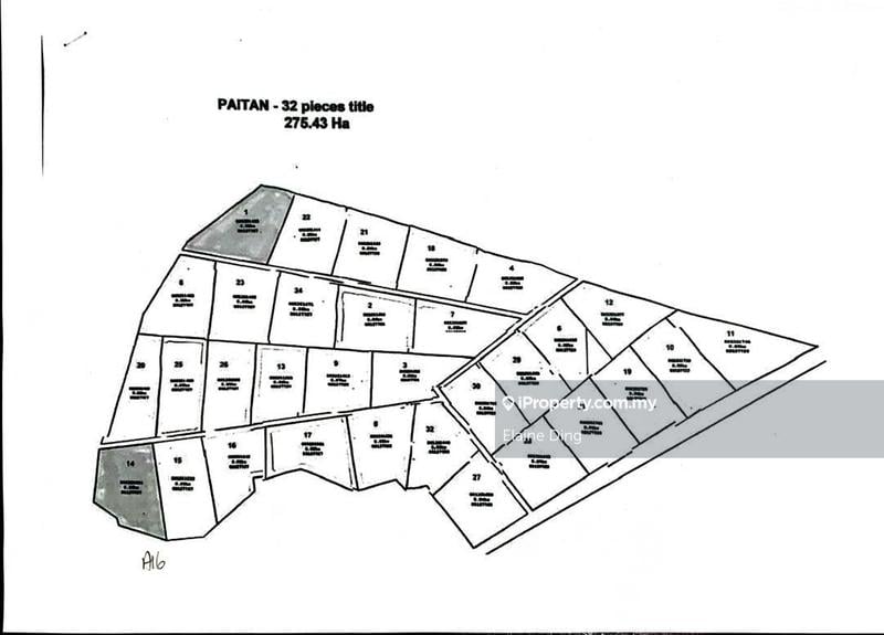 Agricultural Land for Sale in Kampung Kuala Sapi, Beluran by Elaine Ding - iProperty.com.my