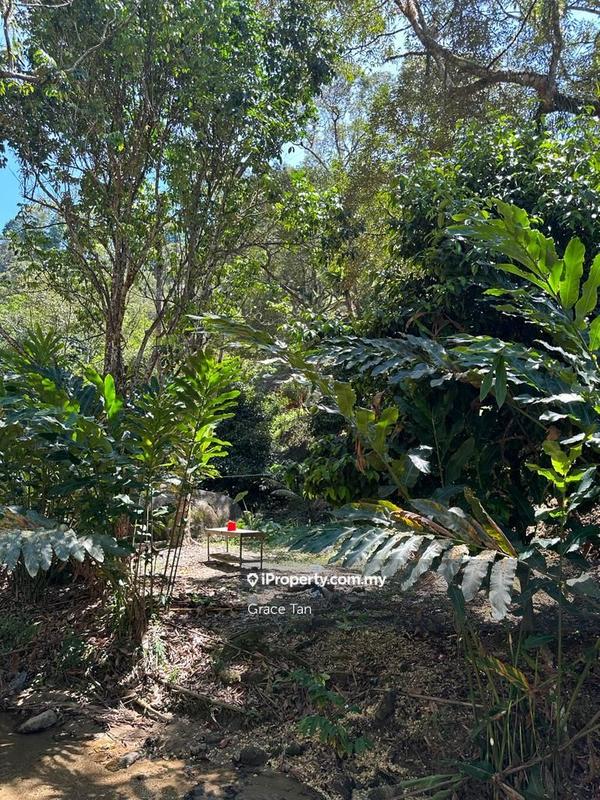 Tanah Pertanian untuk Dijual di Bentong Sang Lee ,Raub, Raub oleh Grace Tan - iProperty.com.my