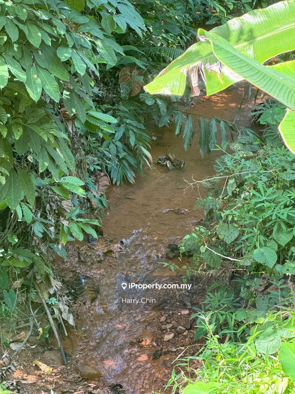 Agricultural Land for Sale in Karak, Bentong by Harry Chin - iProperty.com.my