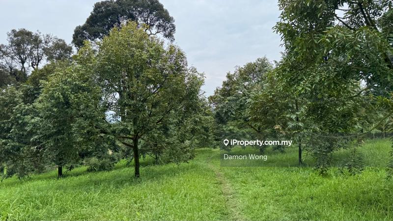 Agricultural Land for Sale in Karak, Karak by Damon Wong - iProperty.com.my