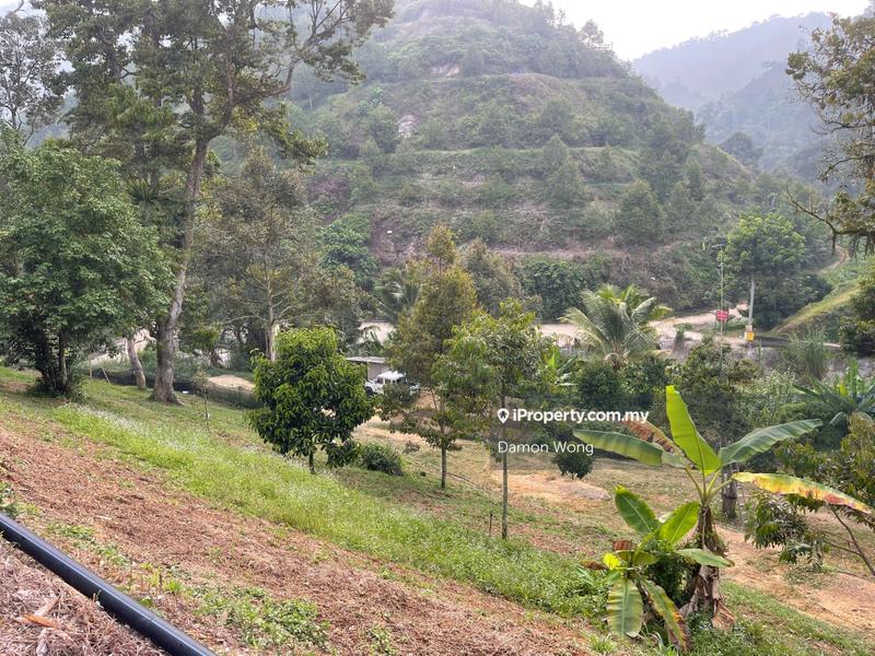 Tanah Pertanian untuk Dijual di Sungai Chetang, Raub oleh Damon Wong - iProperty.com.my
